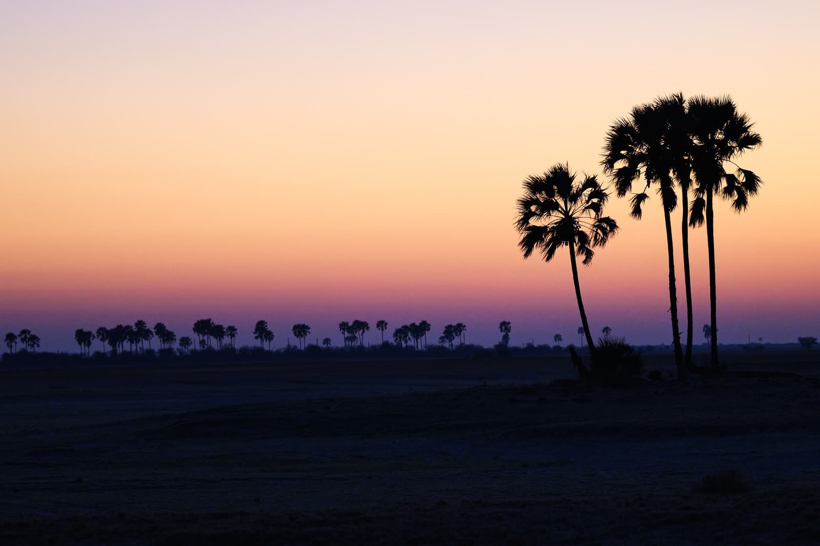 The flat white expanse of the Makgadikgadi salt pans