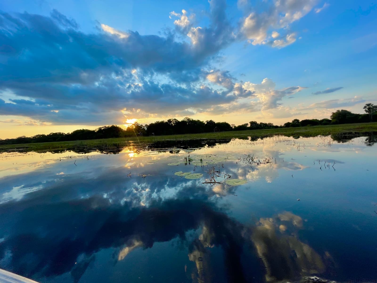 The Thamalakane River at Maun, Botswana