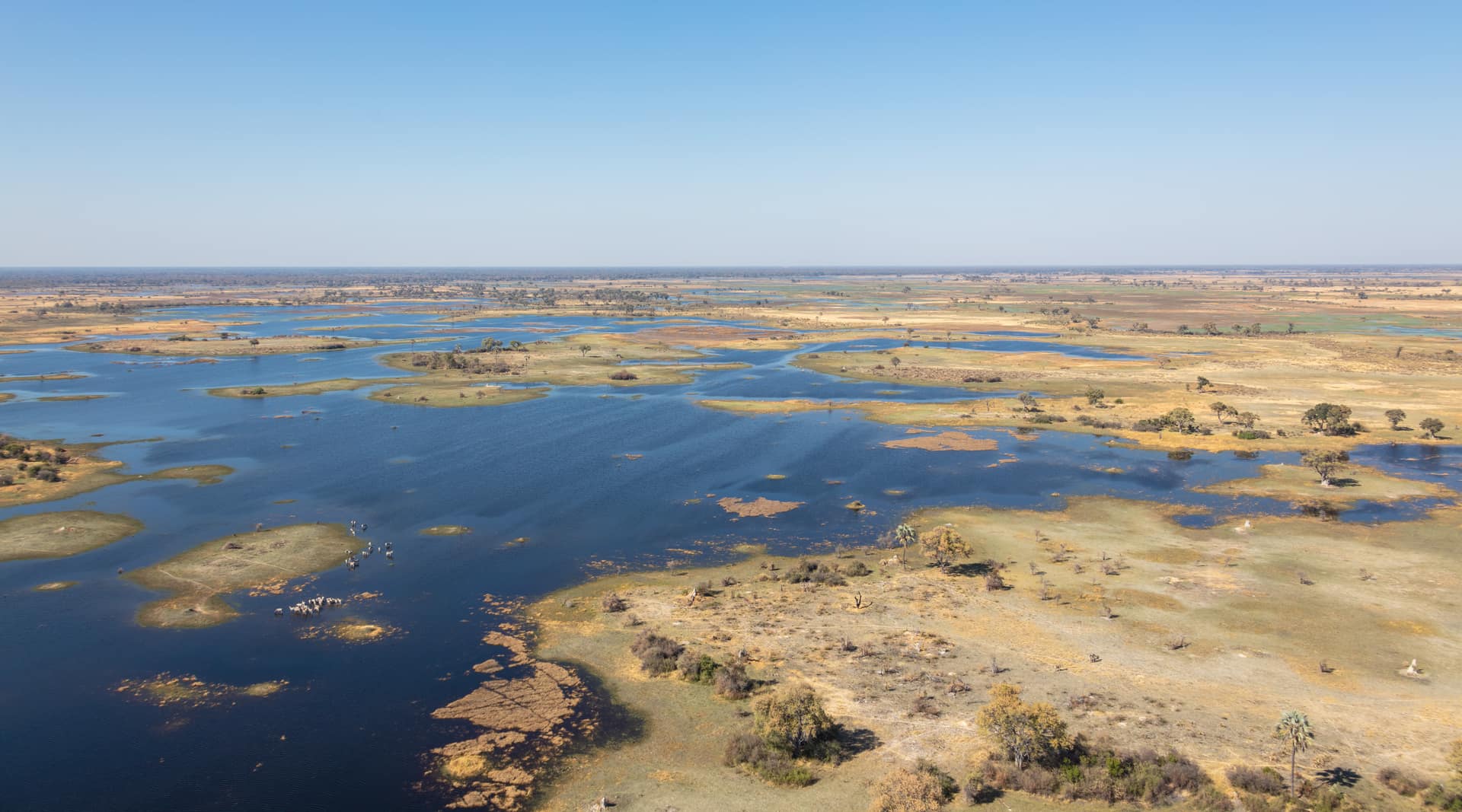 Aerial view of the channels, lagoons and islands of the Okavango Delta